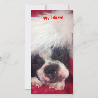 Carte de vœux photo de Boston Terrier Joyeuses Fêt