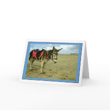Carte de voeux photo Donkey