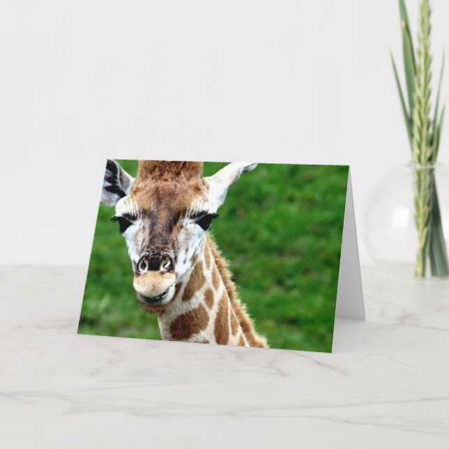 Carte de voeux photo Giraffe (Devant)