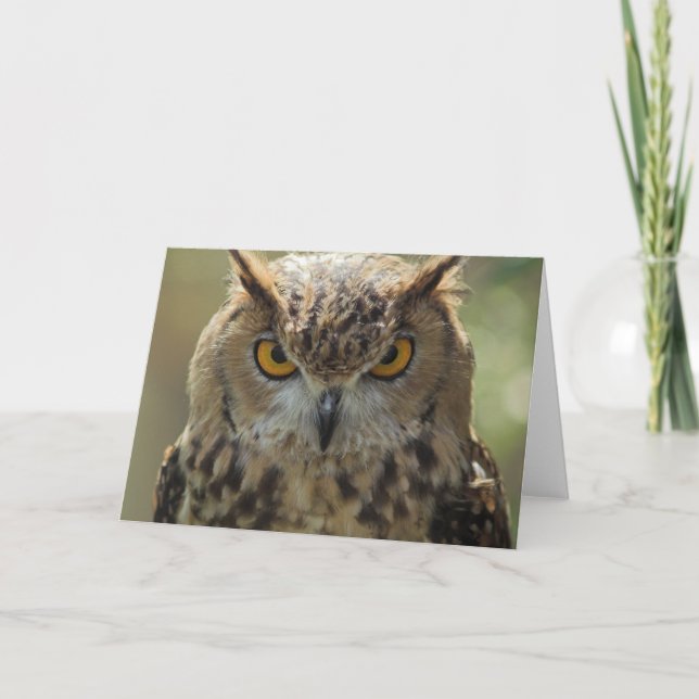 Carte de voeux photo Owl (Devant)