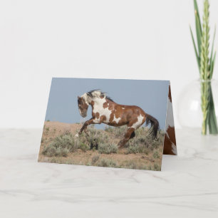 Carte de voeux Picasso Leaps Wild Horse