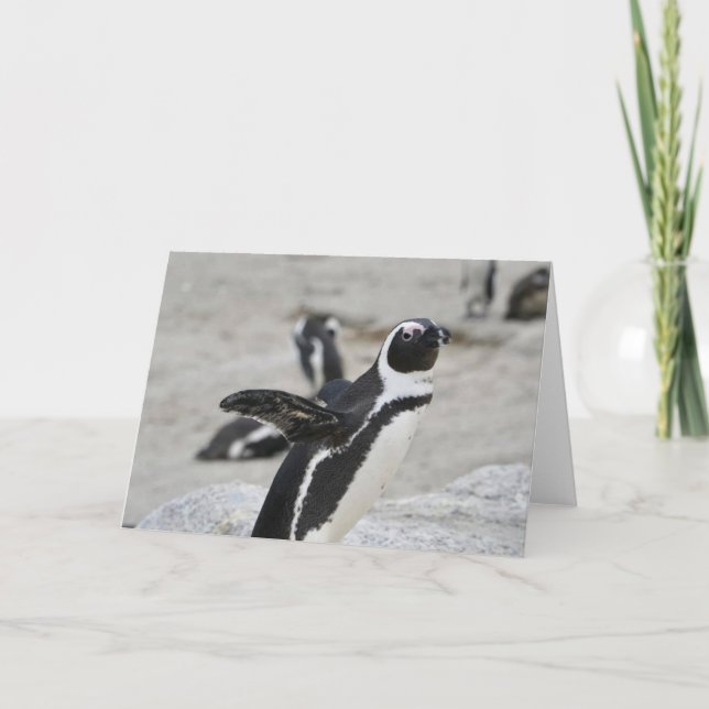 Carte de voeux - Pingouin à battant (Devant)