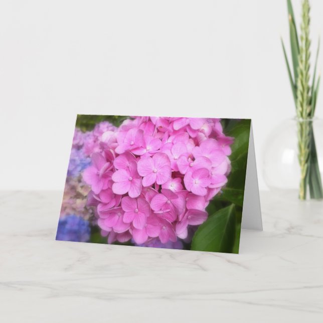 Carte de voeux Pink Hydrangea (Devant)