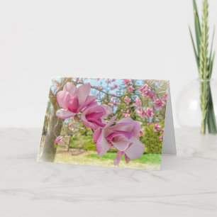 Carte de voeux Pink Magnolia Blossoms