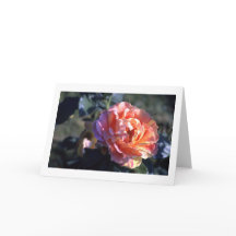 Carte de voeux Pink Rose Pliée Blank
