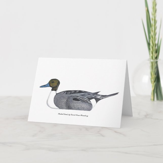 Carte de voeux Pintail Duck, par David Ivan Stromb (Devant)