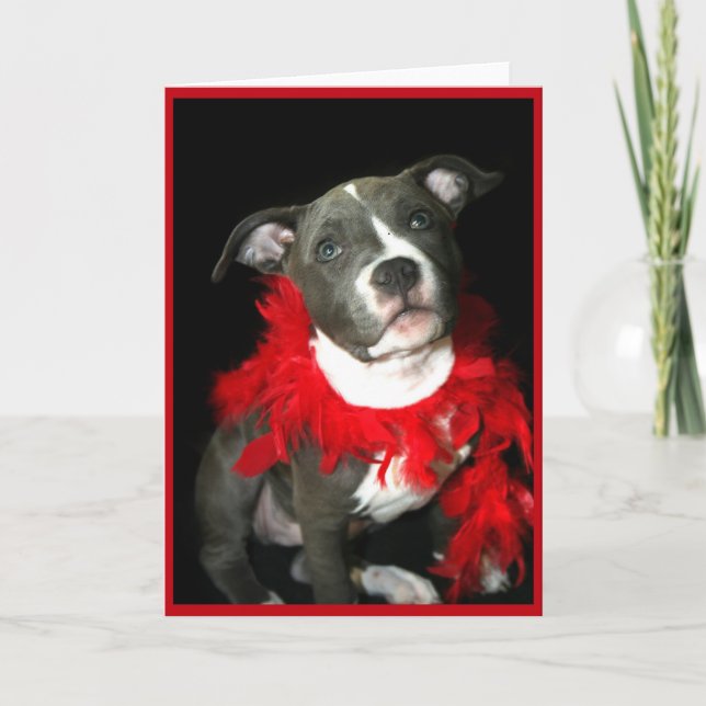 Carte de voeux Pitbull bleu (Devant)