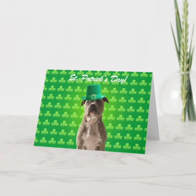 Carte de voeux Pitbull Jour de la Saint Patrick (Devant)