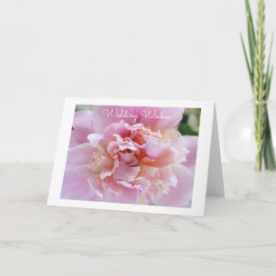 Carte de vœux Pivoine