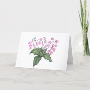 Carte de voeux Plante Fleur Rose Delicy