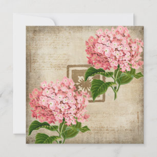 Carte de vœux plate aux grappes d'hortensia rose