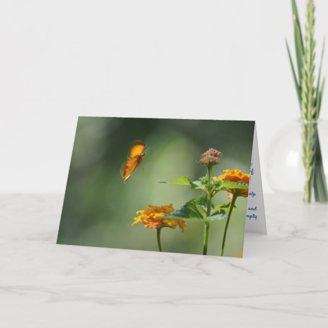 Carte de voeux pliée (Devant)