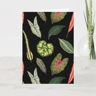 Carte de vœux pliée à motif de feuille de plante v