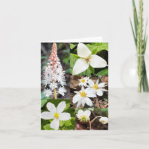 Carte de voeux pliée avec collage de fleurs sauvag