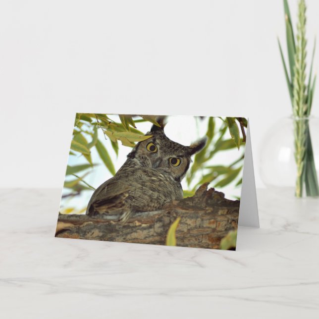 Carte de voeux pliée avec grand hibou à cornes (Devant)
