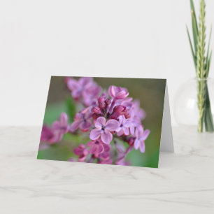 Carte de voeux pliée avec photo de fleur lilas