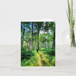 Carte de voeux pliée avec photo de forêt