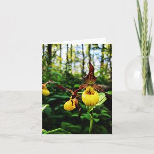 Carte de voeux pliée avec photo fleur sauvage