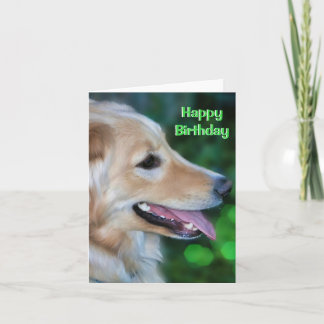 Carte de vœux pliée avec un Golden Retriever sédui