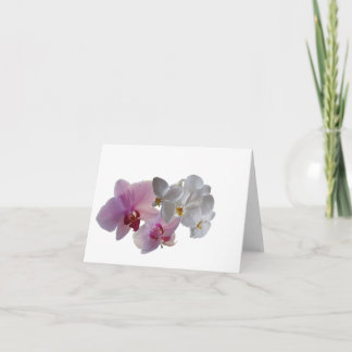 Carte de voeux pliée blanc Konymoi "Orchidée Bloom