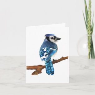 Carte de voeux pliée blanche pour oiseaux Blue Jay