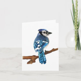 Carte de voeux pliée blanche pour oiseaux Blue Jay