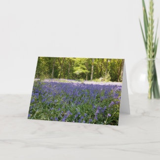 Carte de vœux pliée Bluebell Wood