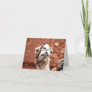 Carte de voeux pliée - Camel au Maroc