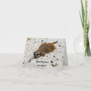 Carte de voeux pliée Chillin' Meerkat