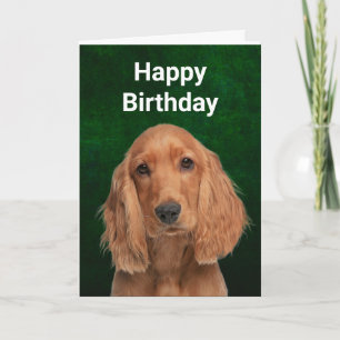 Carte de voeux pliée Cocker Spaniel