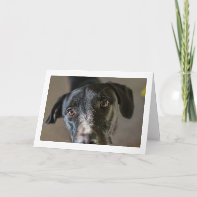 Carte de voeux pliée en blanc "Best Friend" (Devant)