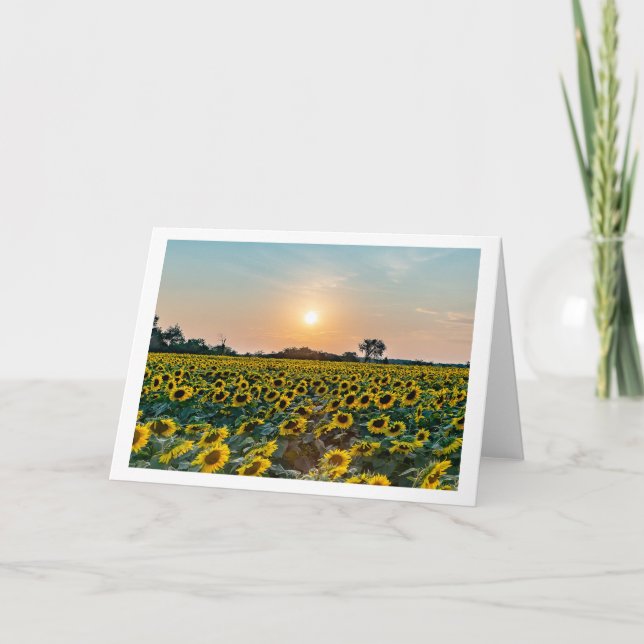 Carte de voeux pliée en blanc "Champ de fleurs" (Devant)