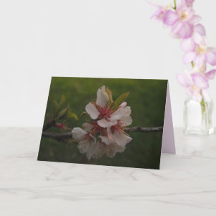 Carte de voeux pliée florale en fleurs de cerisier