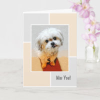 Carte de vœux pliée Malshi Chien Tu me manques