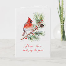 Carte de vœux pliée Noël Cardinal Oiseau Rouge