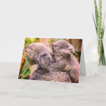 Carte de vœux pliée ours koala mère et enfant