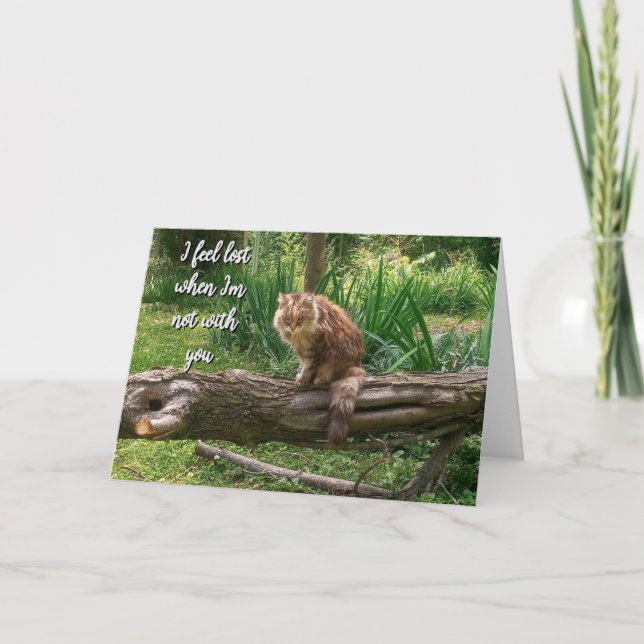 Carte de voeux pliée photo de votre chat manquante (Devant)