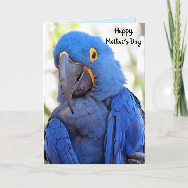 Carte de voeux pliée pour la fête des mères de per (Devant)