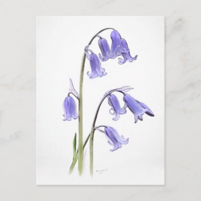 Carte de voeux pliée standard, 12,7 cm x 17,8 cm (Devant)