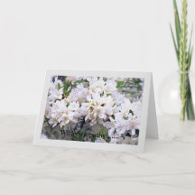 Carte de voeux pliée Sympathy