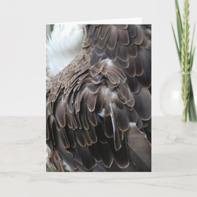 Carte de voeux "Plumes d'aigle" (Devant)