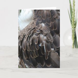 Carte de voeux "Plumes d'aigle"