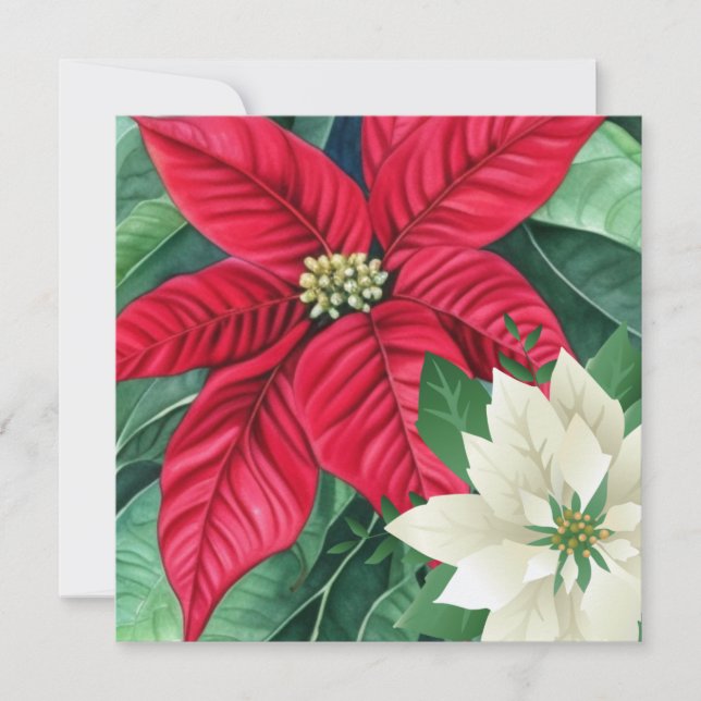Carte de voeux Poinsettia (Devant)