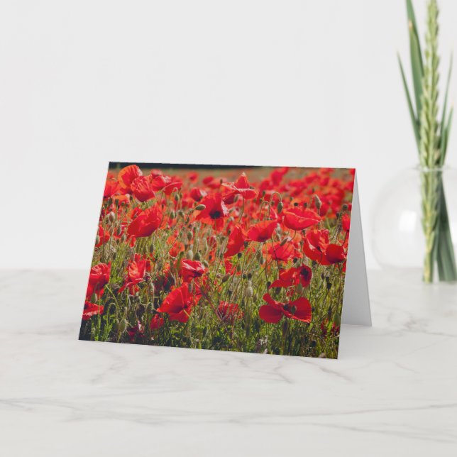 Carte de voeux Poppies (Devant)