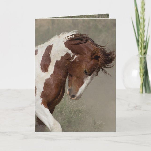 Carte de voeux Portrait Wild Horse d'Apache (Devant)