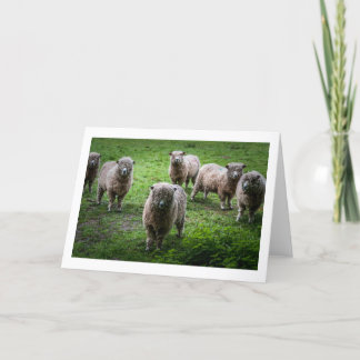 Carte de voeux pour animaux, vide à l'intérieur.
