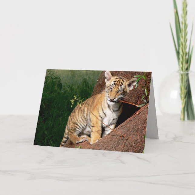 carte de voeux pour bébé tigre  (Devant)