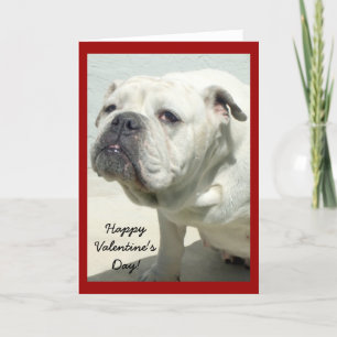 Carte de voeux pour bulldog Heureuse Sainte-Valent