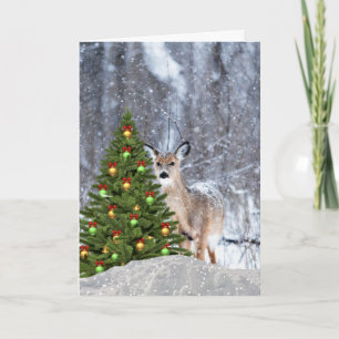 Carte de voeux pour cerfs blancs de Noël Woodland