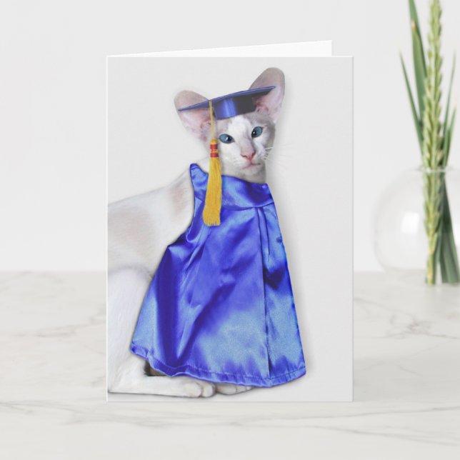 Carte de voeux pour chat (Devant)